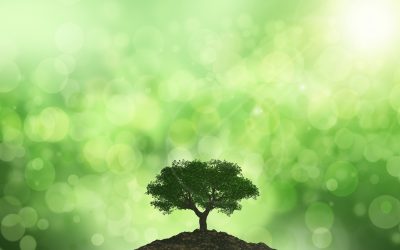 La letra chica de los beneficios